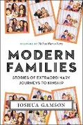 Cover: Modern Families - New York University Press