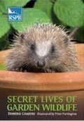 Cover: Secret Lives of Garden Wildlife - A & C Black Publishers Ltd