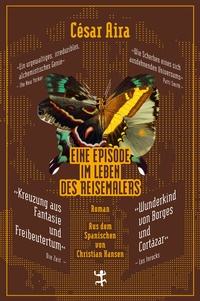 Abbildung von: Eine Episode im Leben des Reisemalers - Matthes & Seitz Berlin