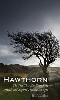 Abbildung von: Hawthorn - Yale University Press