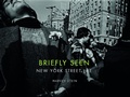 Cover: Briefly Seen - Schiffer Publishing Ltd