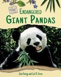 Cover: Endangered Giant Pandas - Enslow Publishing