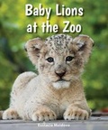 Cover: Baby Lions at the Zoo - Enslow Publishing