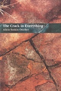 Cover: The Crack In Everything - Penguin Random House South Africa