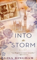 Cover: Into the Storm - Diversion Books