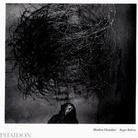 Enlarge image Cover: Shadow Chamber - Phaidon Press Ltd