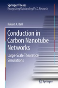 Cover: Conduction in Carbon Nanotube Networks - Springer