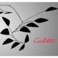 Cover: Calder - Phaidon Press Ltd