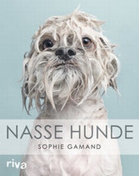 Abbildung von: Nasse Hunde - Riva