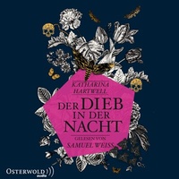 Abbildung von: Der Dieb in der Nacht - OSTERWOLDaudio