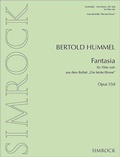Cover: Fantasia - Benjamin, A J