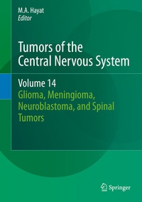 Abbildung von: Tumors of the Central Nervous System, Volume 14 - Springer