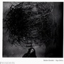 Cover: Shadow Chamber - Phaidon Press Ltd