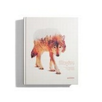 Abbildung von: Illusive 4 - Die Gestalten Verlag