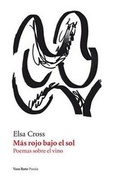 Cover: Mas Rojo Bajo el Sol - VASO ROTO EDICIONES