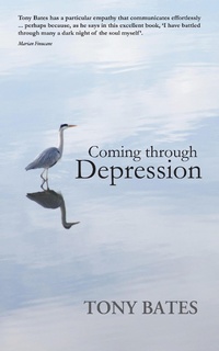Enlarge image Cover: Coming Through Depression - Gill Books