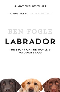 Enlarge image Cover: Labrador - William Collins