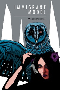 Enlarge image Cover: Immigrant Model - NYU Press