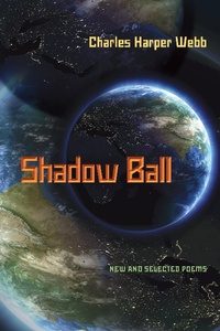 Enlarge image Cover: Shadow Ball - Princeton University Press
