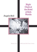 Cover: Night Clerk at the Hotel of Both Worlds - Penguin Random House South Africa