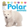 Cover: Safari Sam's Wild Animals: Polar Animals - Franklin Watts Ltd