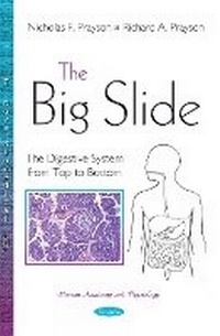 Enlarge image Cover: The Big Slide - Nova Science Publishers Inc