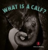 Enlarge image Cover: What is a Calf? - The Literacy Tower Limited