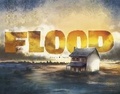 Cover: Flood - Curious Fox