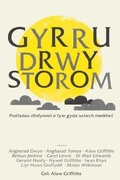 Cover: Gyrru drwy Storom - Y Lolfa