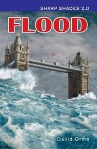 Enlarge image Cover: Flood (Sharp Shades) - Ransom Publishing