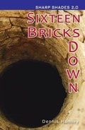 Cover: Sixteen Bricks Down (Sharp Shades) - Ransom Publishing