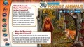 Cover: Forest Giants - Weldon Owen Education Ltd