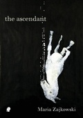 Cover: ascendant - Puncher and Wattmann
