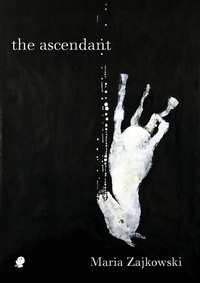 Enlarge image Cover: ascendant - Puncher and Wattmann