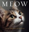 Cover: Meow - Exisle Publishing
