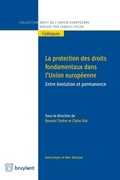 Cover: Protection des droits fondamentaux dans l'union Europ&eacute;enne - Bruylant