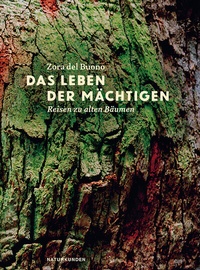 Abbildung von: Das Leben der Mächtigen - Matthes & Seitz Berlin