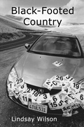 Cover: Black-Footed Country - Liquid Light Press