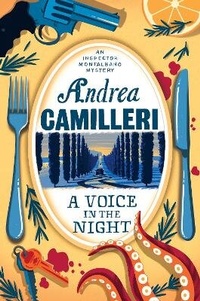 Abbildung von: A Voice in the Night - Picador