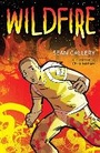 Cover: Wildfire - Bloomsbury Education