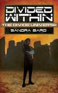 Cover: Divided Within - Less Than Three Press