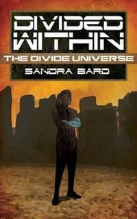 Enlarge image Cover: Divided Within - Less Than Three Press