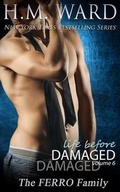 Cover: Life Before Damaged, Vol. 6 (The Ferro Family) - Laree Bailey Press