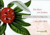 Bild vergrößern Bild: Ein Meer von Farben - Rhododendron aus aller Welt - Stiftung Museumsdorf Cloppenburg