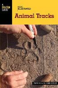 Enlarge image Cover: Basic Illustrated Animal Tracks - Falcon Guides