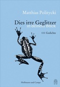 Cover: Dies irre Geglitzer in Deinem Blick - Hoffmann & Campe