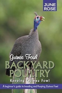 Abbildung von: Guinea Fowl, Backyard Poultry - Gohas