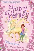 Cover: Fairy Ponies Enchanted Mirror - Usborne Publishing Ltd