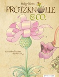 Cover: Protzknolle & Co. - Zytglogge
