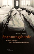 Cover: Spannungsherde - Wallstein